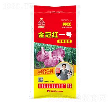 金冠紅一號晚熟品種-魯金豆
