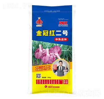 金冠紅二號中熟品種-魯金豆