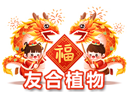 【鄭州友合植物】祝全國(guó)人民在新的一年里年年有余、歲歲平安！