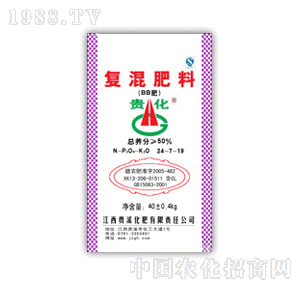 �F��50%��24-7-19����(f��)���