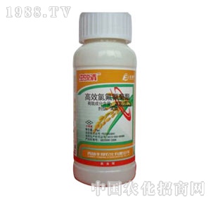 ���u�S��-�x͑��