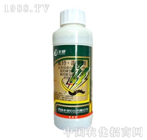 ���u�S��-10%��������������