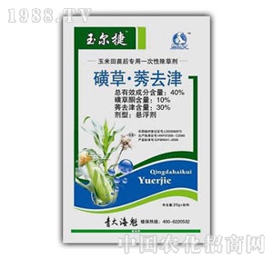 ���u�S��-�񠖽�