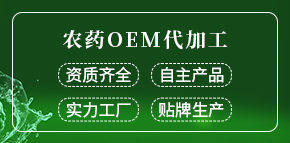 山東東遠(yuǎn)生物科技有限公司